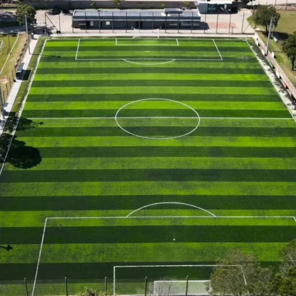 Grama falsa esportiva